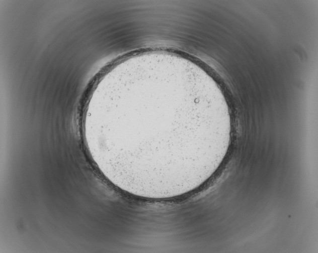 X0000111941022200909071255
