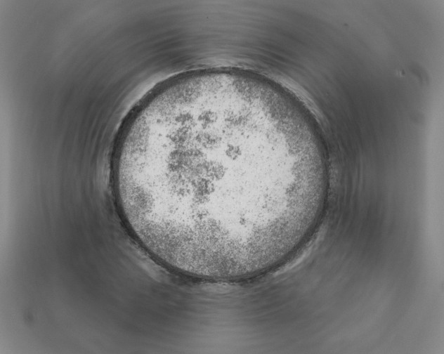 X0000111941023200909071255