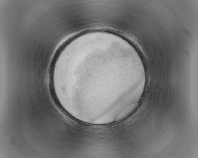 X0000111941024200909071255