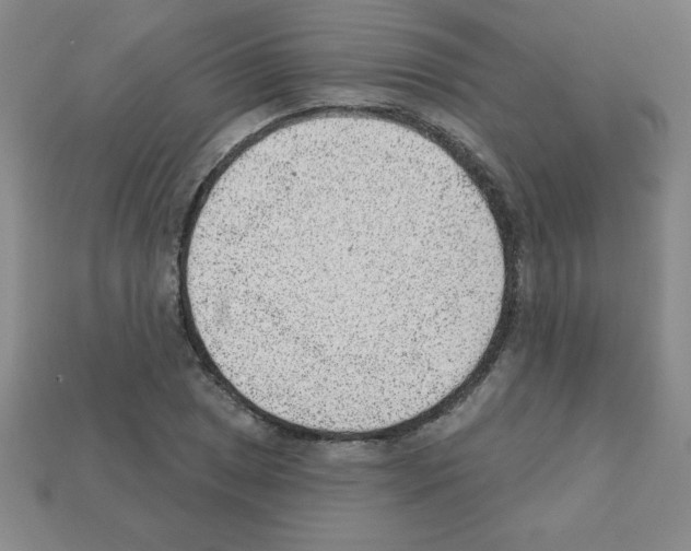 X0000111941025200909071255
