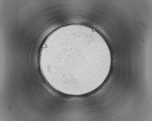 X0000111941026200909071255