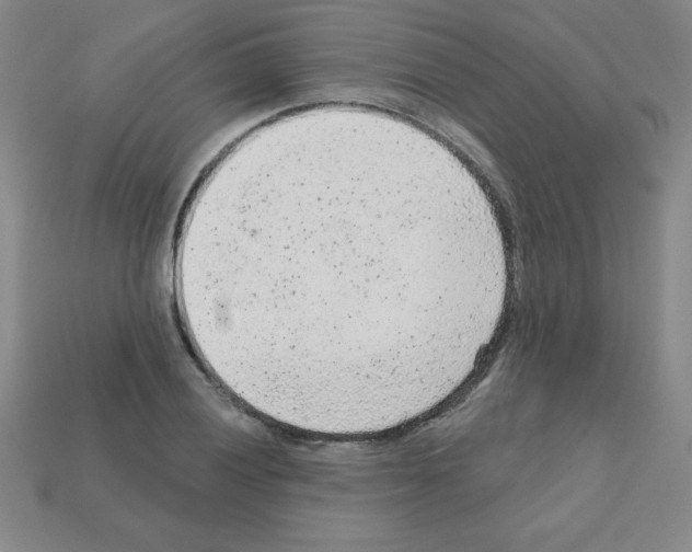 X0000111941028200909071255