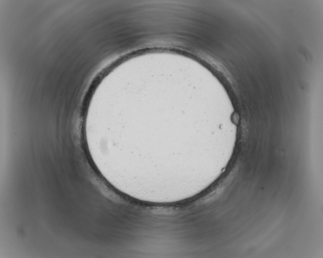 X0000111941029200909071255