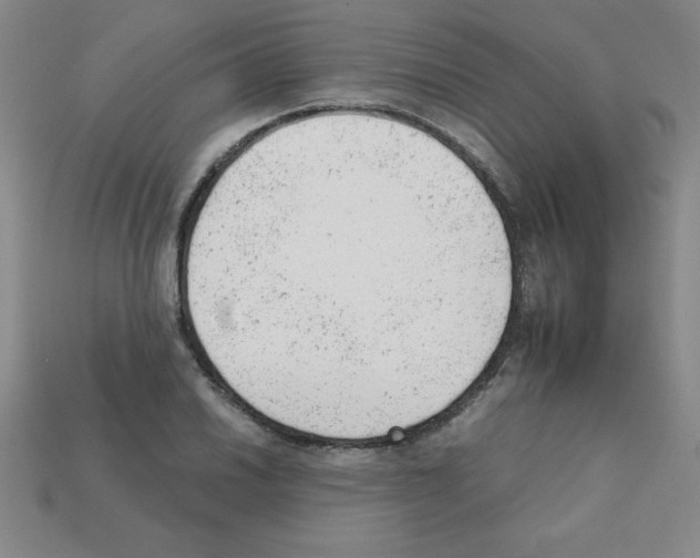 X0000111941030200909071255