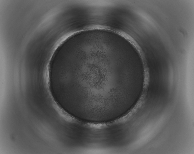 X0000111941031200909071255