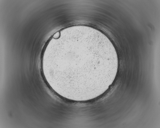 X0000111941034200909071255