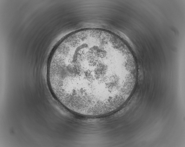 X0000111941035200909071255