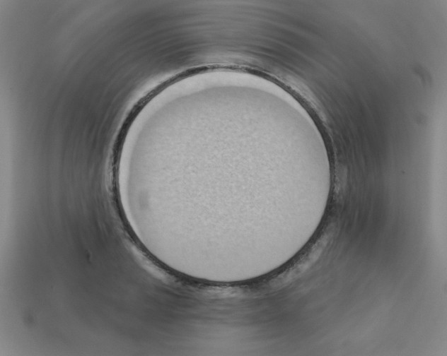 X0000111941037200909071255