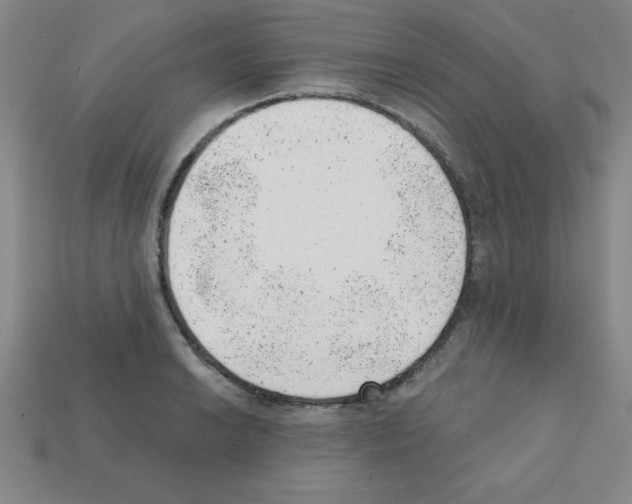 X0000111941038200909071255