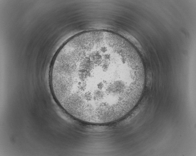 X0000111941039200909071255