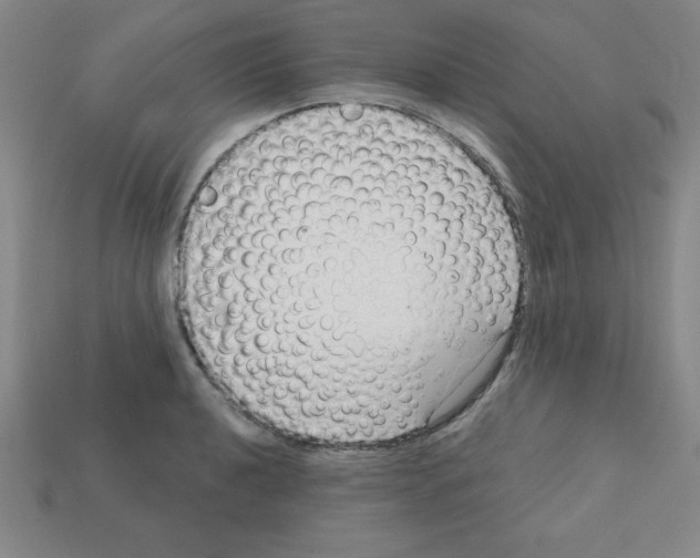 X0000111941040200909071255