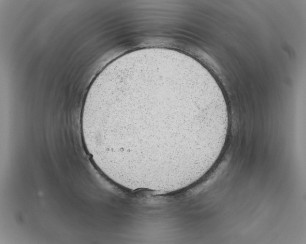 X0000111941041200909071255