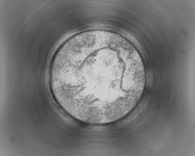 X0000111941043200909071256