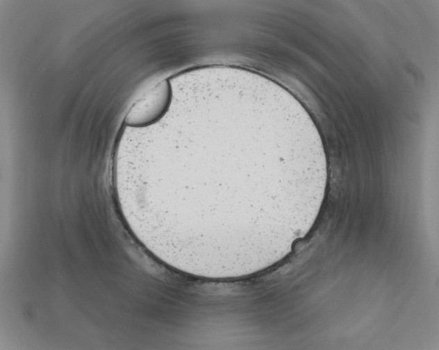 X0000111941044200909071256