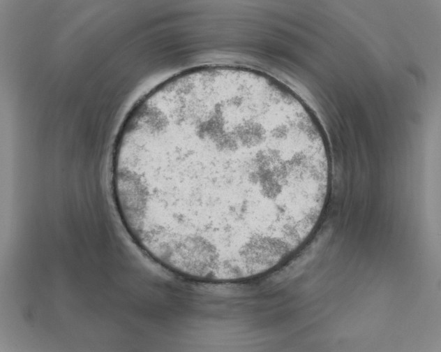 X0000111941045200909071256