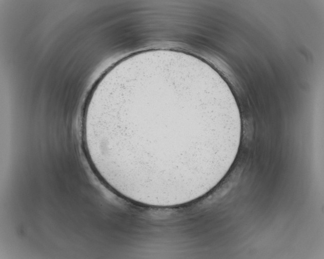 X0000111941046200909071256