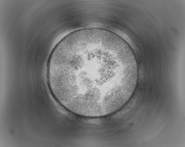 X0000111941047200909071256