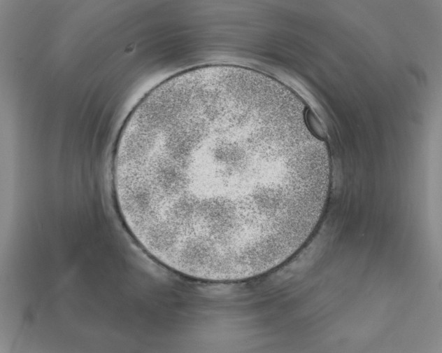 X0000111941048200909071256