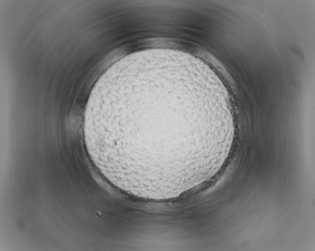 X0000111941049200909071256