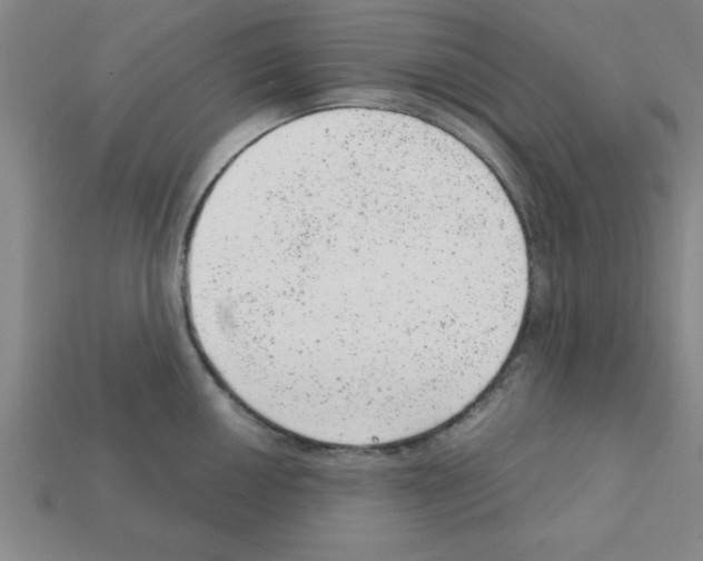 X0000111941050200909071256