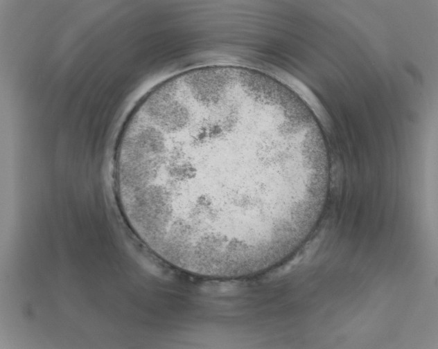 X0000111941051200909071256
