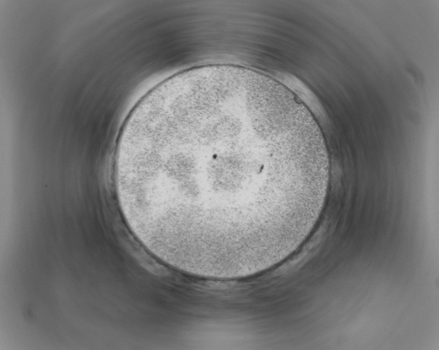X0000111941052200909071256