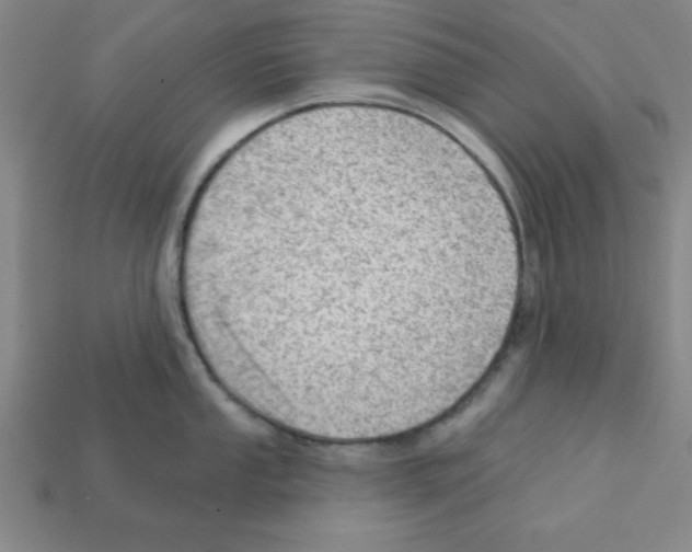 X0000111941053200909071256