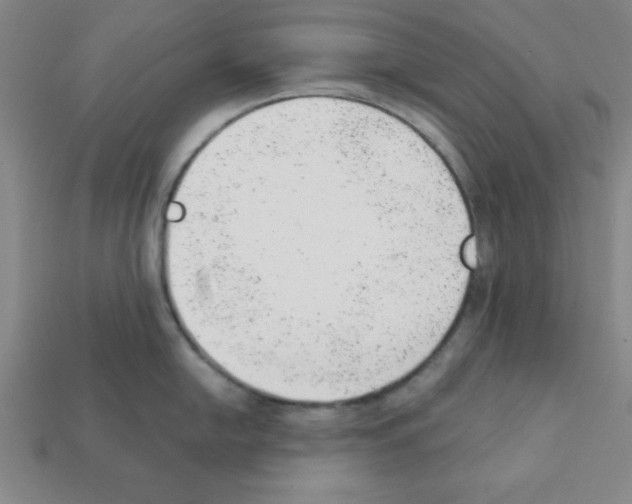 X0000111941054200909071256