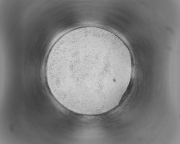 X0000111941056200909071256