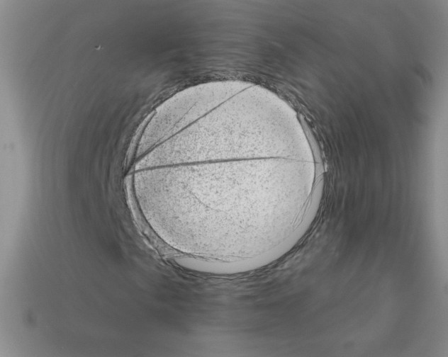 X0000111941057200909071255