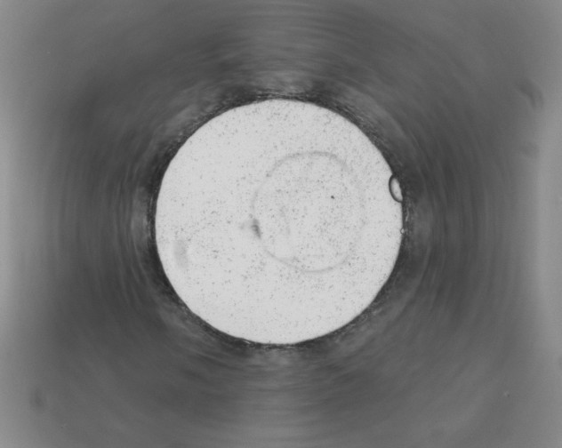 X0000111941058200909071255