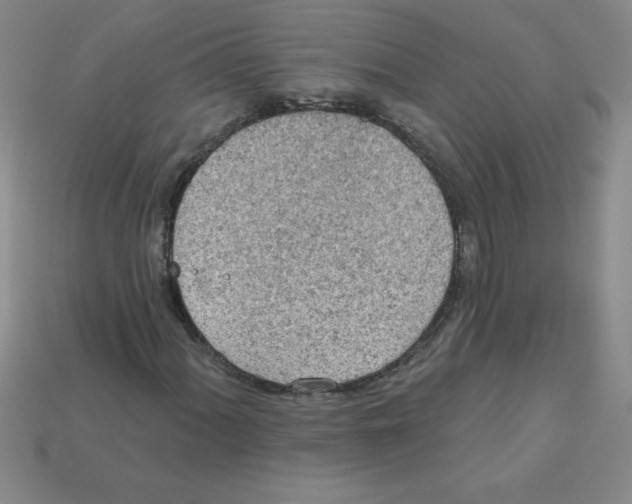 X0000111941060200909071255