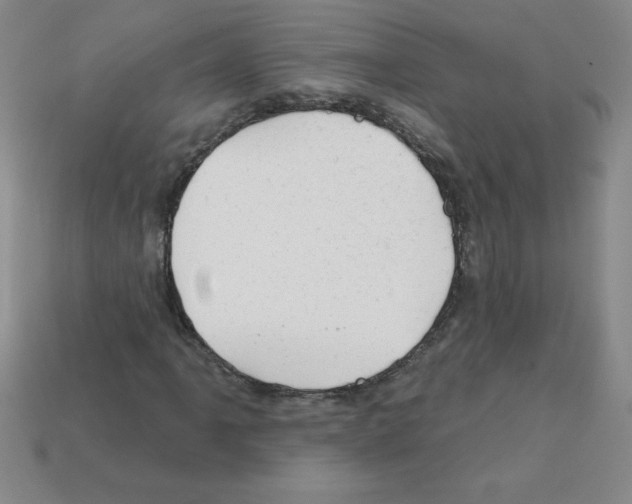 X0000111941061200909071255