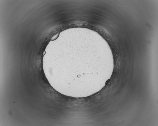 X0000111941062200909071255