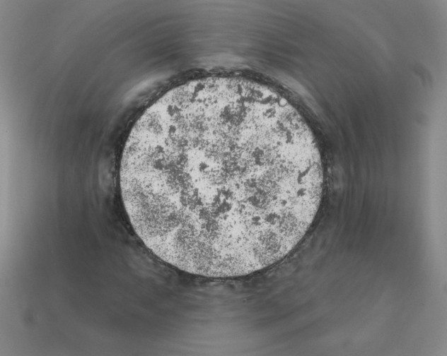 X0000111941063200909071255