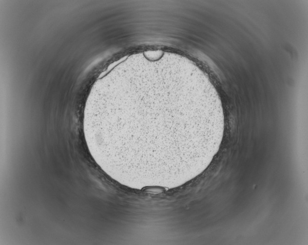 X0000111941064200909071255