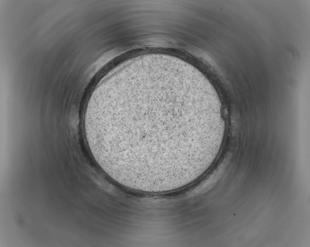 X0000111941065200909071255