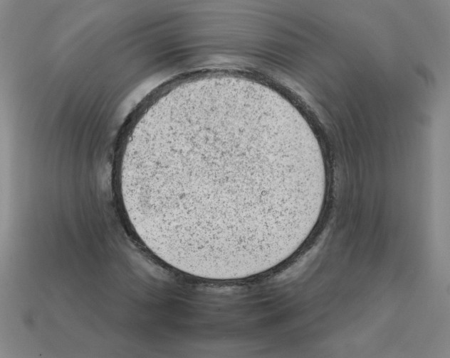 X0000111941066200909071255