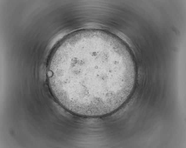 X0000111941067200909071255