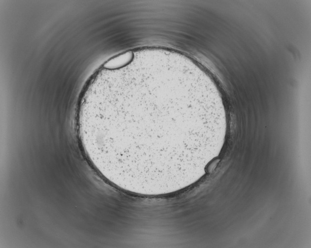 X0000111941068200909071255