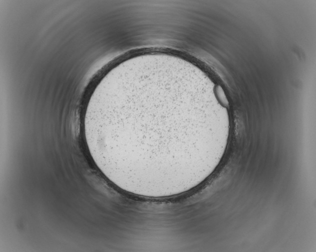 X0000111941069200909071255