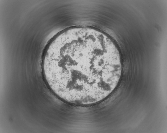 X0000111941071200909071255