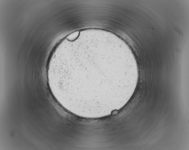 X0000111941072200909071255