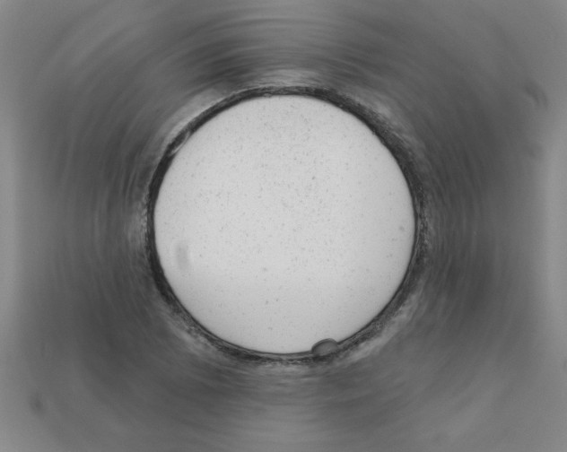 X0000111941073200909071255