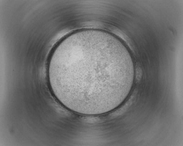 X0000111941074200909071255