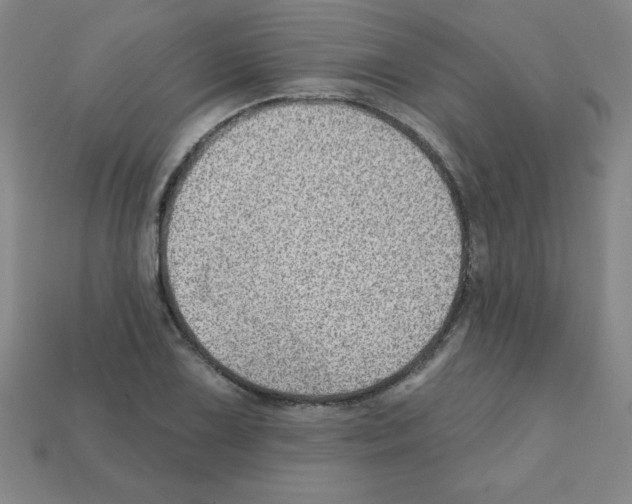 X0000111941075200909071255