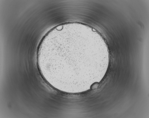 X0000111941076200909071255