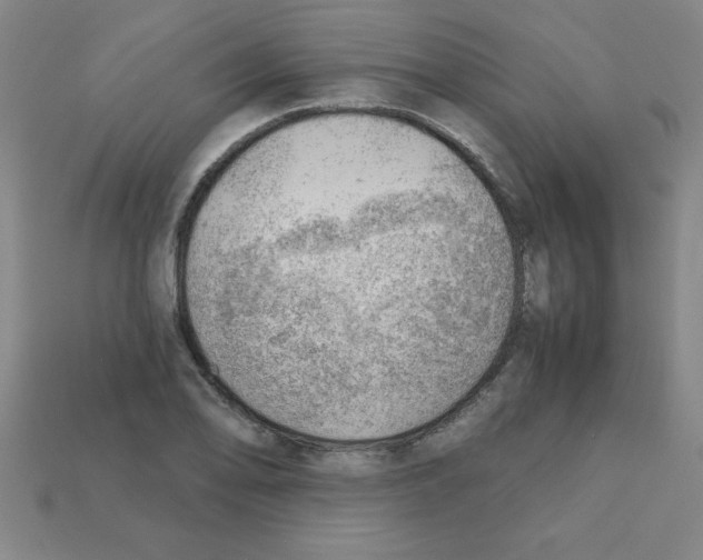 X0000111941078200909071255