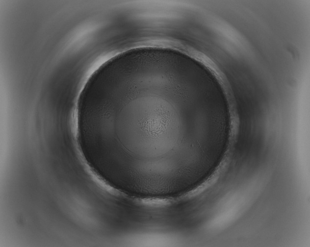 X0000111941079200909071255