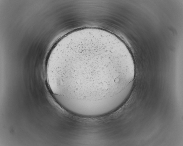 X0000111941080200909071255
